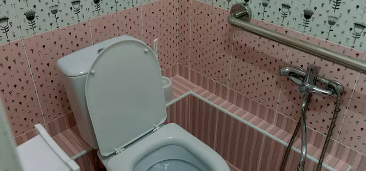 Meeting Diverse Needs With Accessible Restroom Solutions in Elmhurst, IL