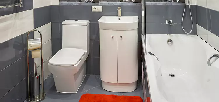 Hansgrohe Shaving Mirror Elmhurst